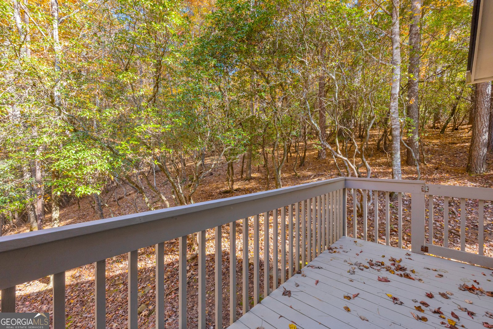 222 Blue Ridge Drive Sautee Nacoochee - 82