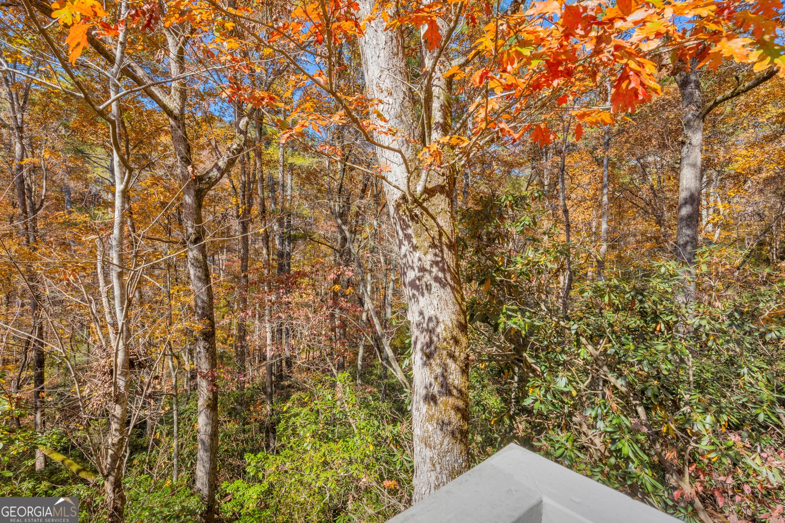 222 Blue Ridge Drive Sautee Nacoochee - 86