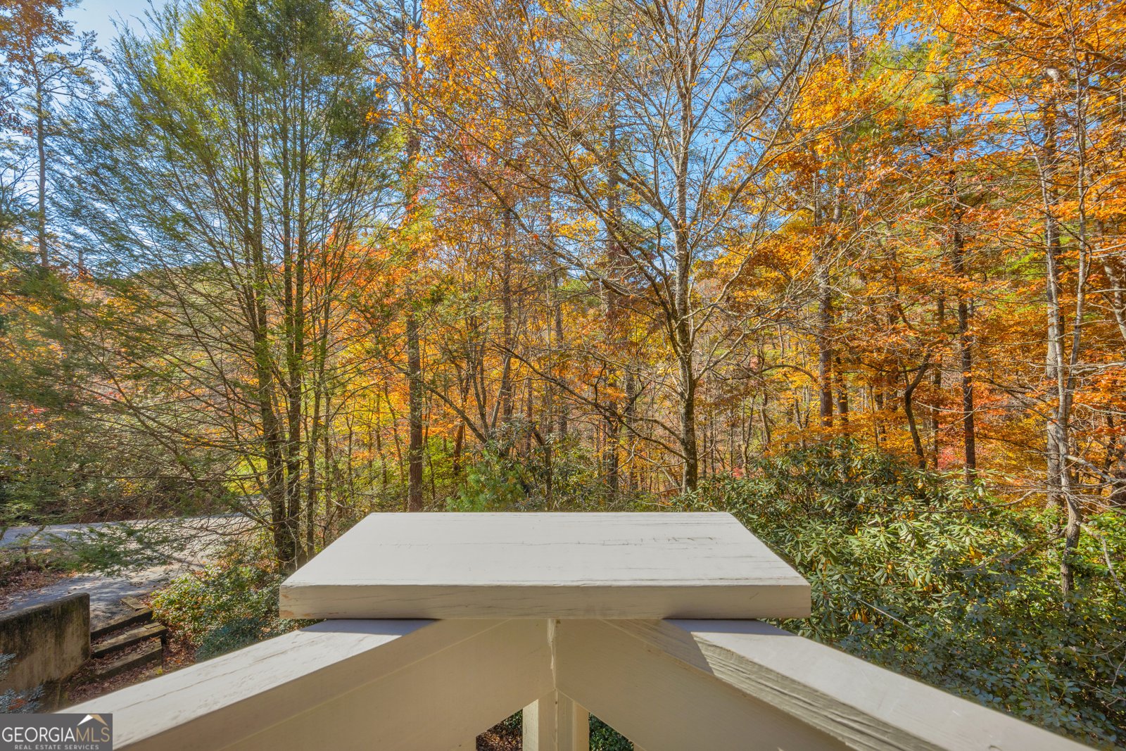 222 Blue Ridge Drive Sautee Nacoochee - 88