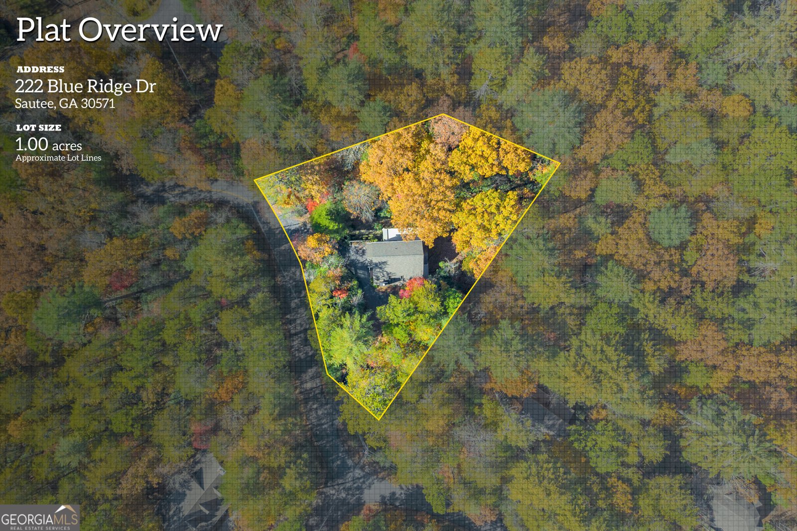 222 Blue Ridge Drive Sautee Nacoochee - 91