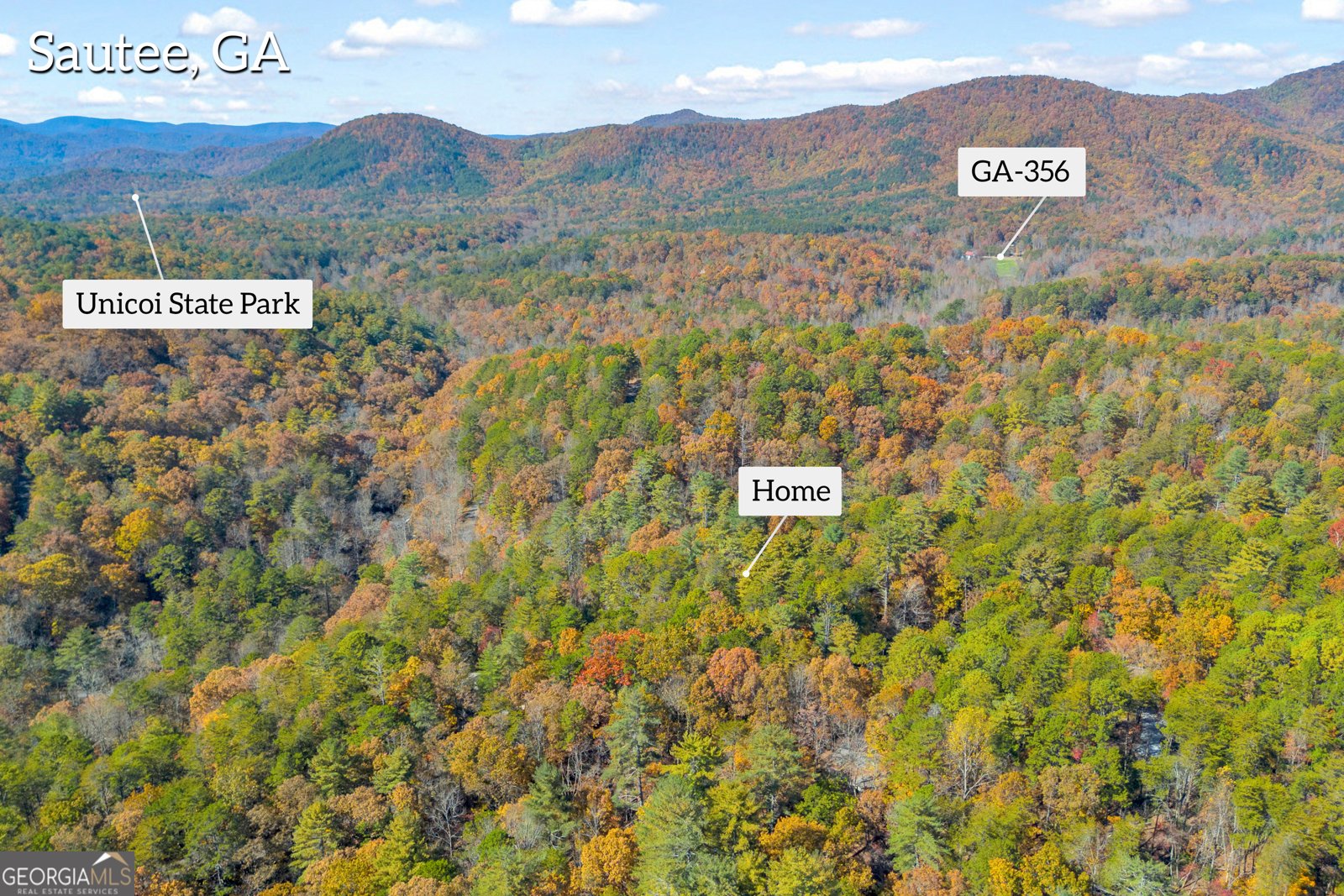 222 Blue Ridge Drive Sautee Nacoochee - 95