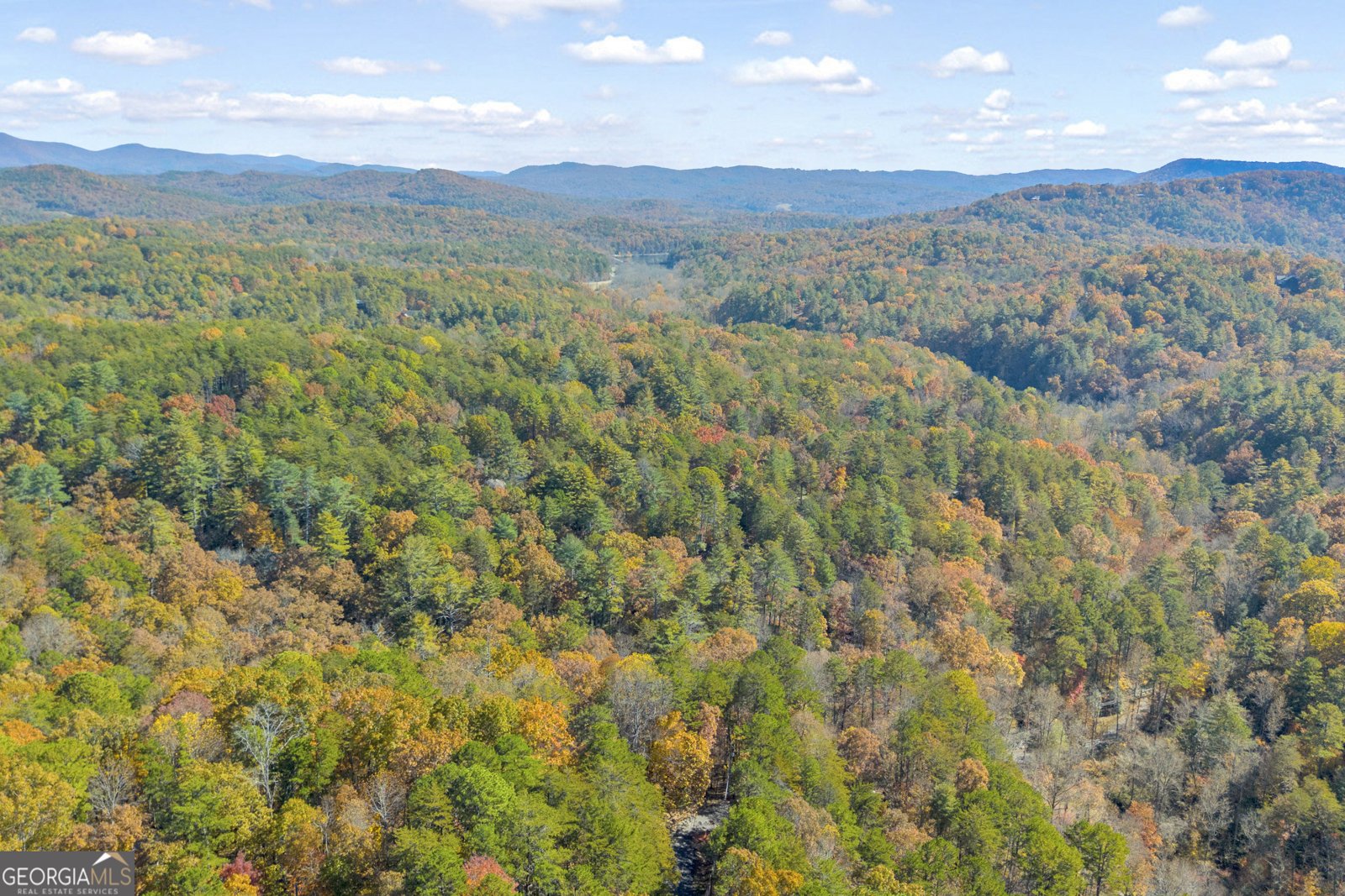 222 Blue Ridge Drive Sautee Nacoochee - 96