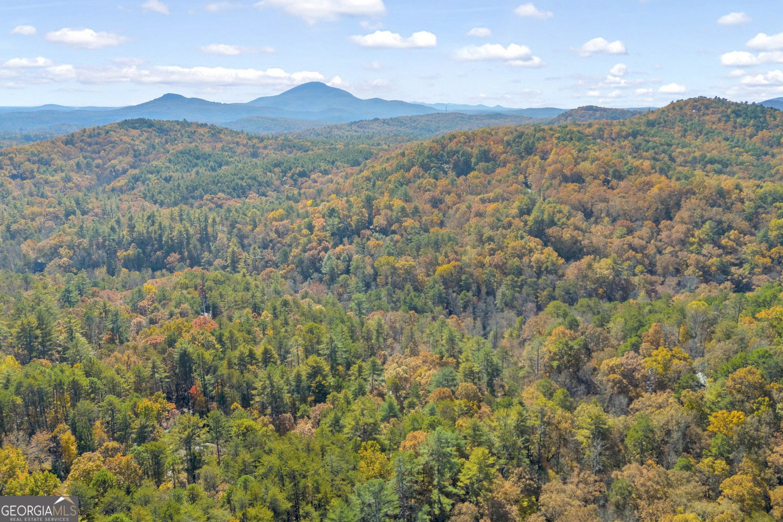 222 Blue Ridge Drive Sautee Nacoochee - 98