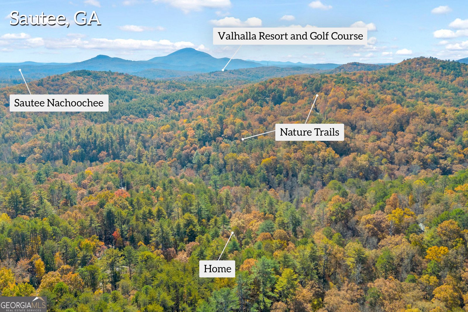 222 Blue Ridge Drive Sautee Nacoochee - 99