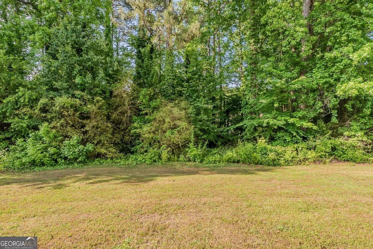 4995 Panola Mill Drive Lithonia - 36