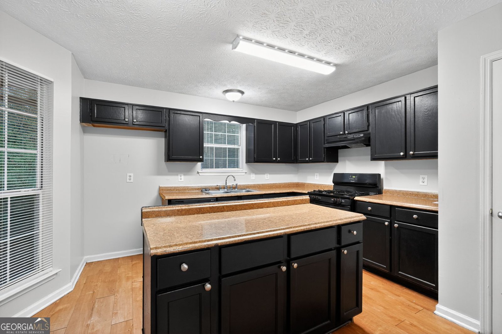 225 Fox Lane Drive South Fulton - 8