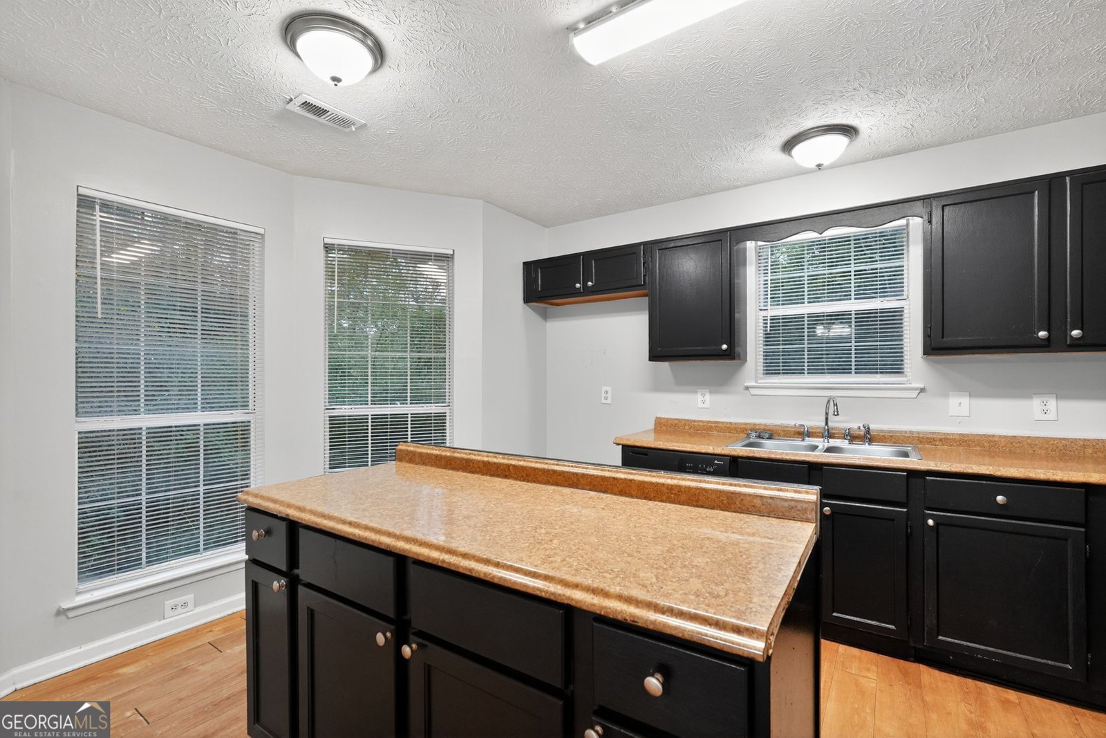 225 Fox Lane Drive South Fulton - 9