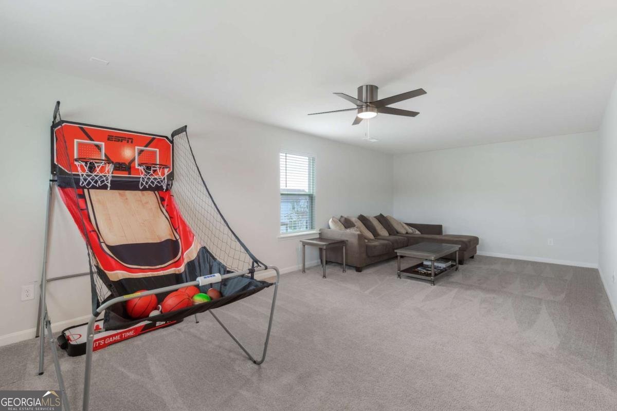 259 Paulownia Circle Mcdonough - 22