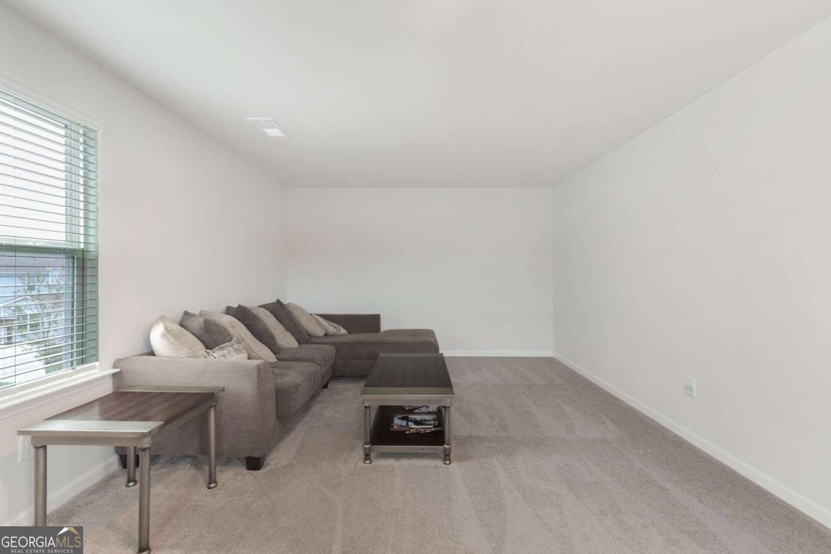 259 Paulownia Circle Mcdonough - 23