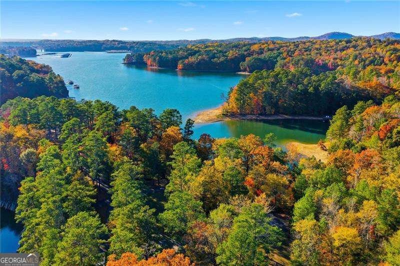 6219 Holly Ann Street Acworth - 2