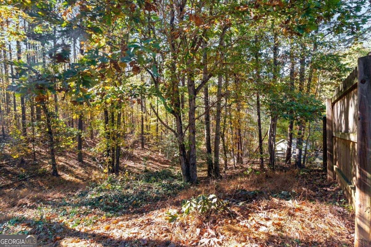 204 Red Fox Court Canton - 21