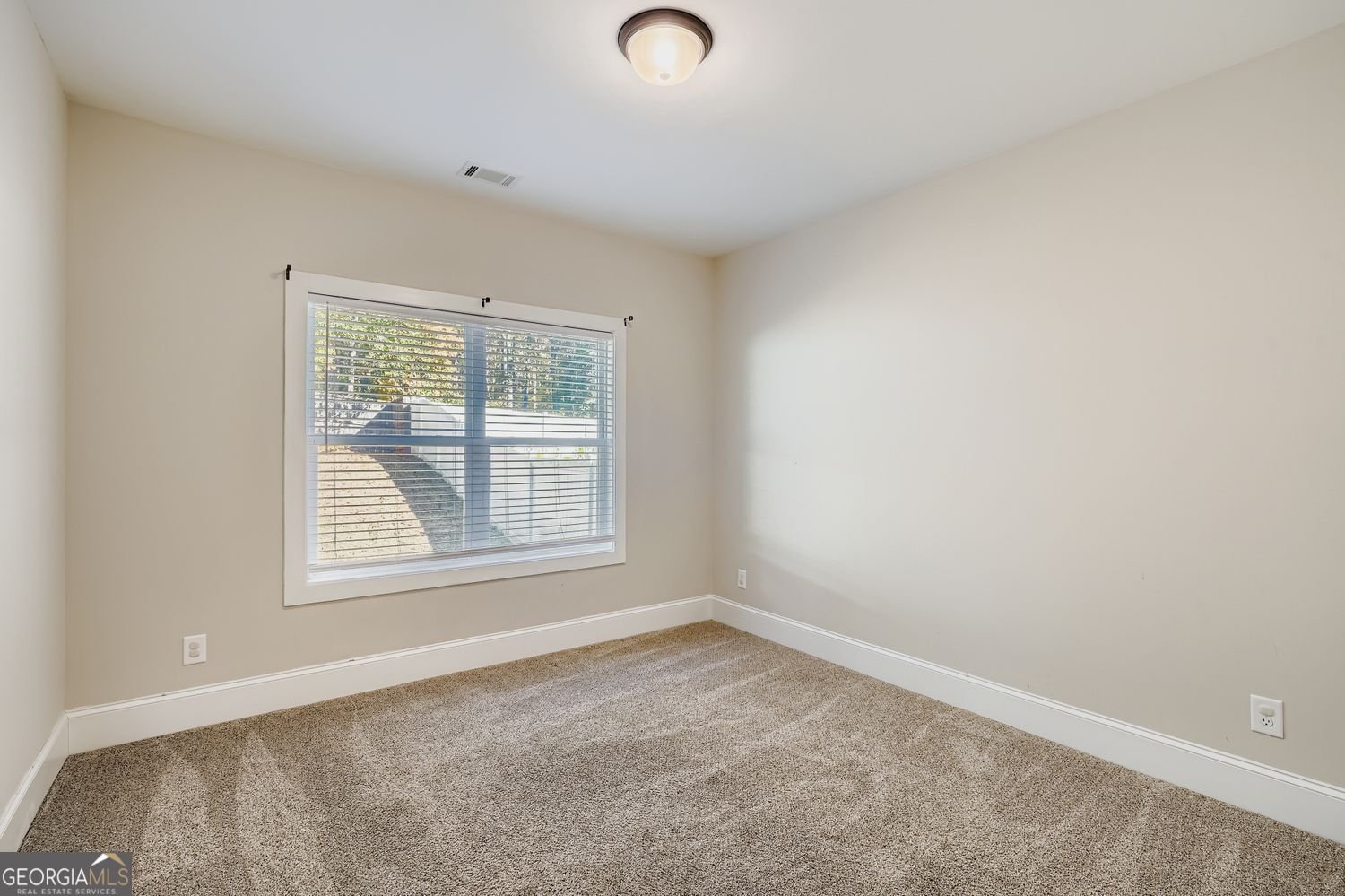 717 Petaluma Place Locust Grove - 22