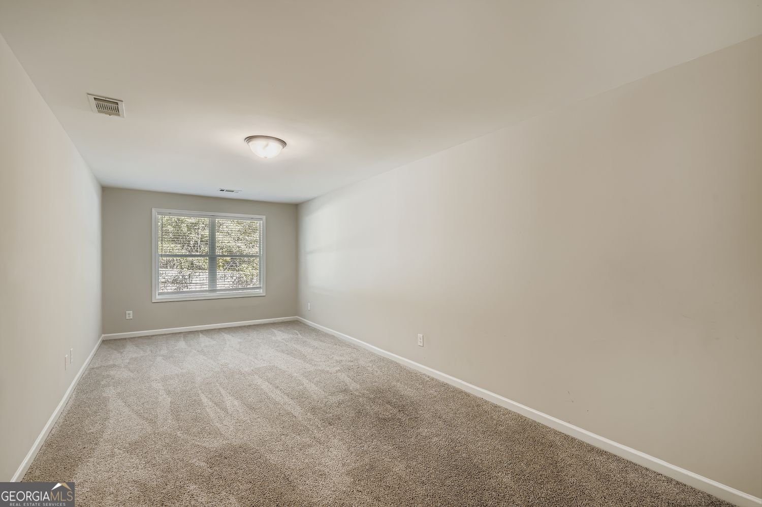 717 Petaluma Place Locust Grove - 29