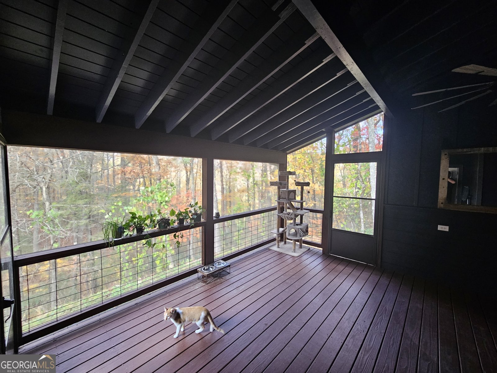 327 Polly Gap Road Clayton - 14