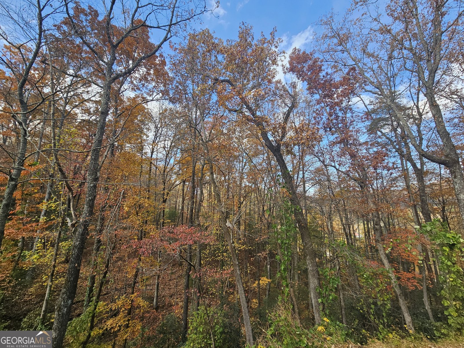 327 Polly Gap Road Clayton - 16