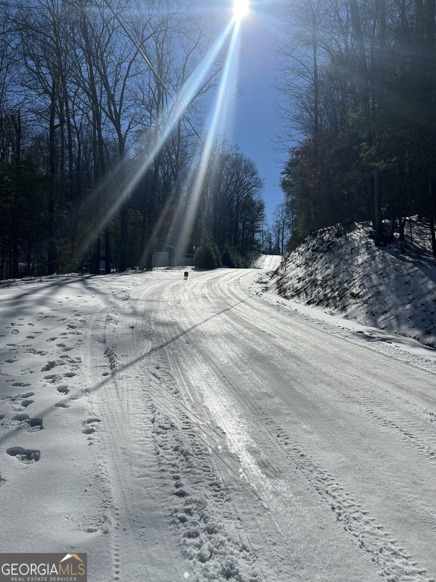 327 Polly Gap Road Clayton - Photo 53