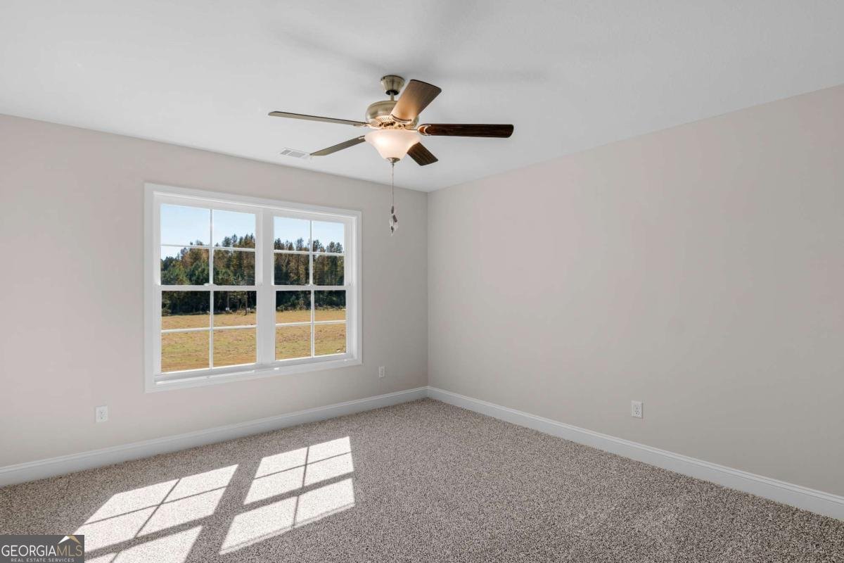 1139 S.T. Morris Road Ludowici - 35