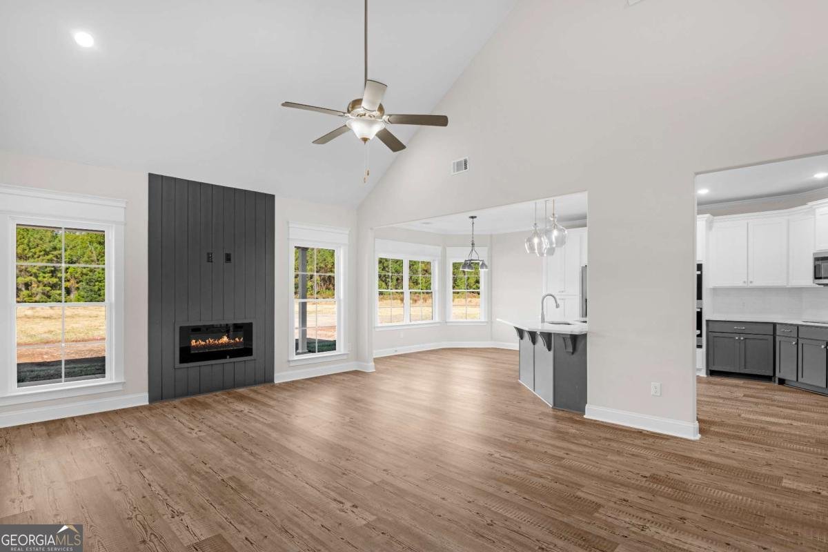 1139 S.T. Morris Road Ludowici - 7