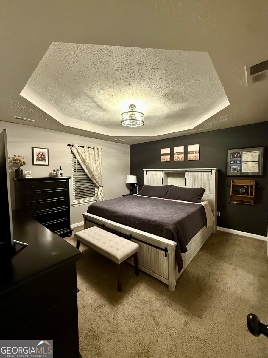 148 Apache Pointe Drive Senoia - 22