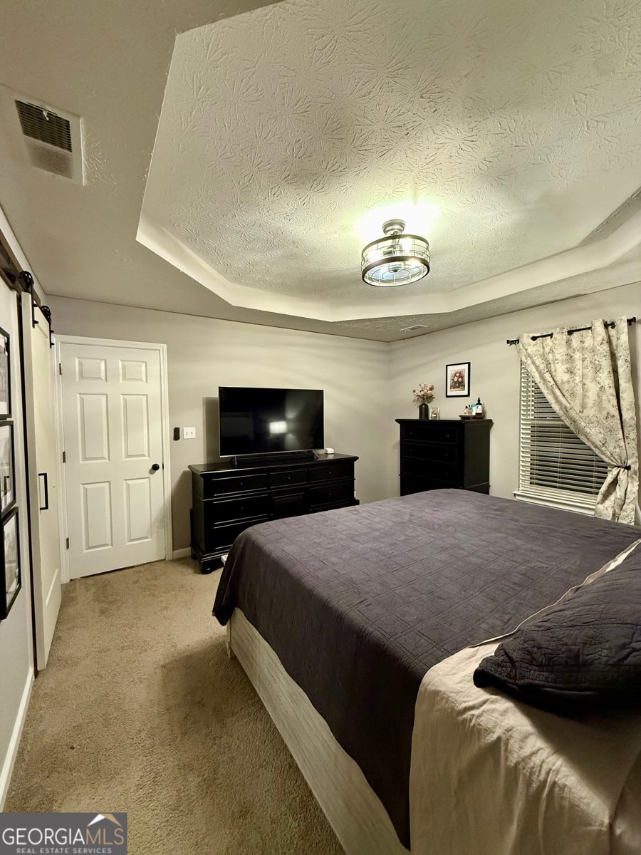 148 Apache Pointe Drive Senoia - 23