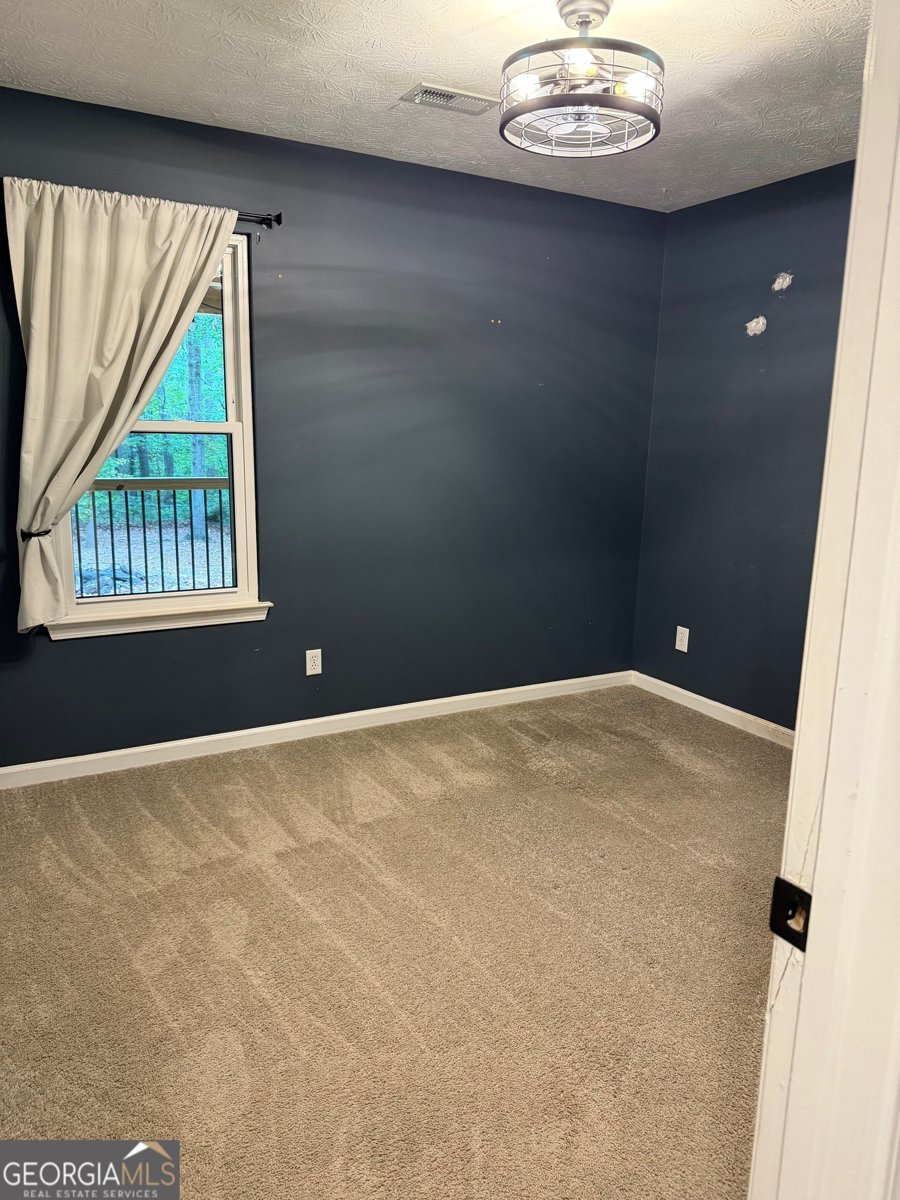 148 Apache Pointe Drive Senoia - 64