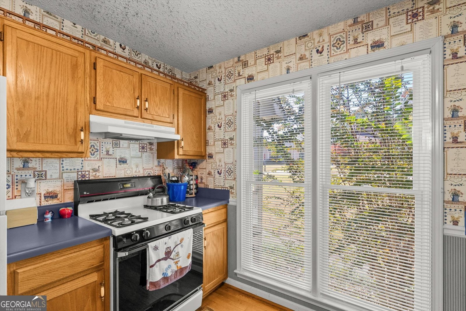 196 Lambeth Drive Hiram - 3