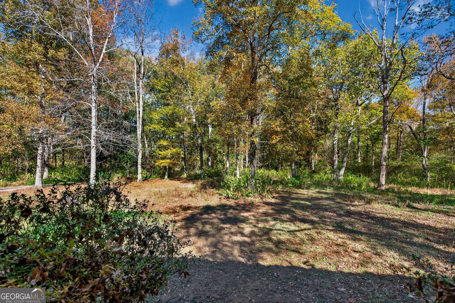 2063 Buffington Road Boaz - 4