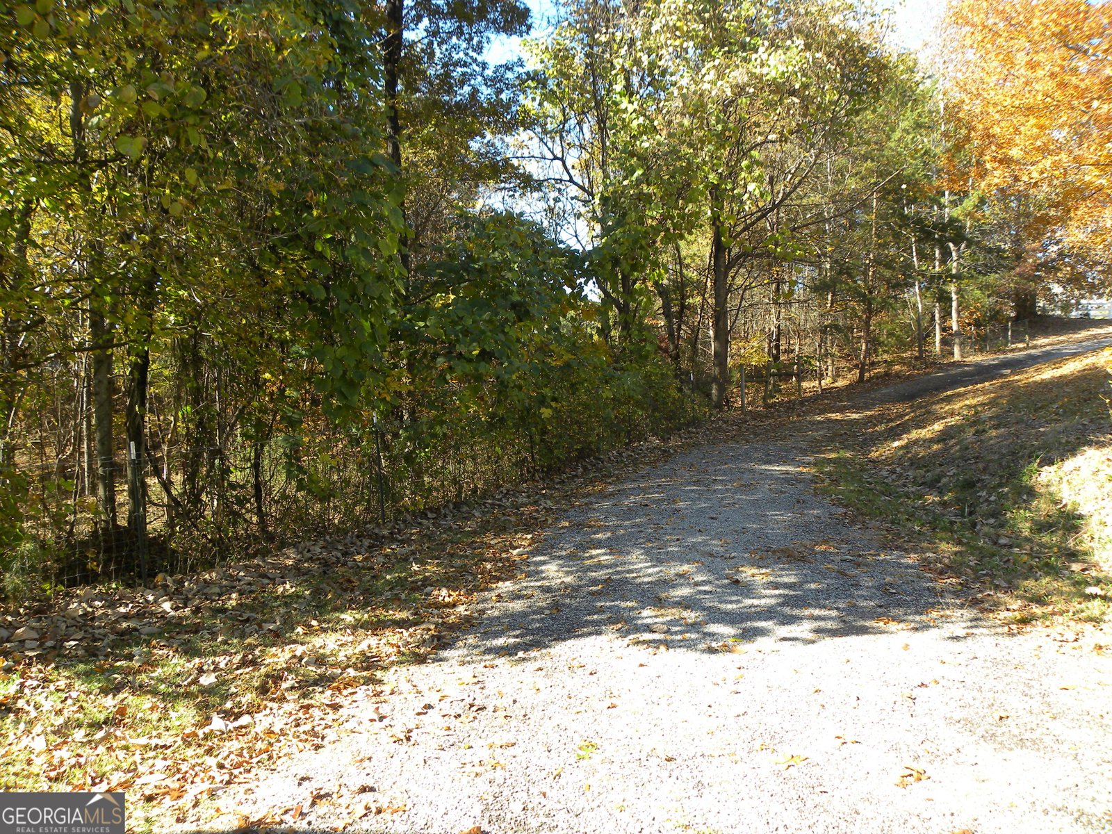 2484 Apple Pie Ridge Road Alto - 49