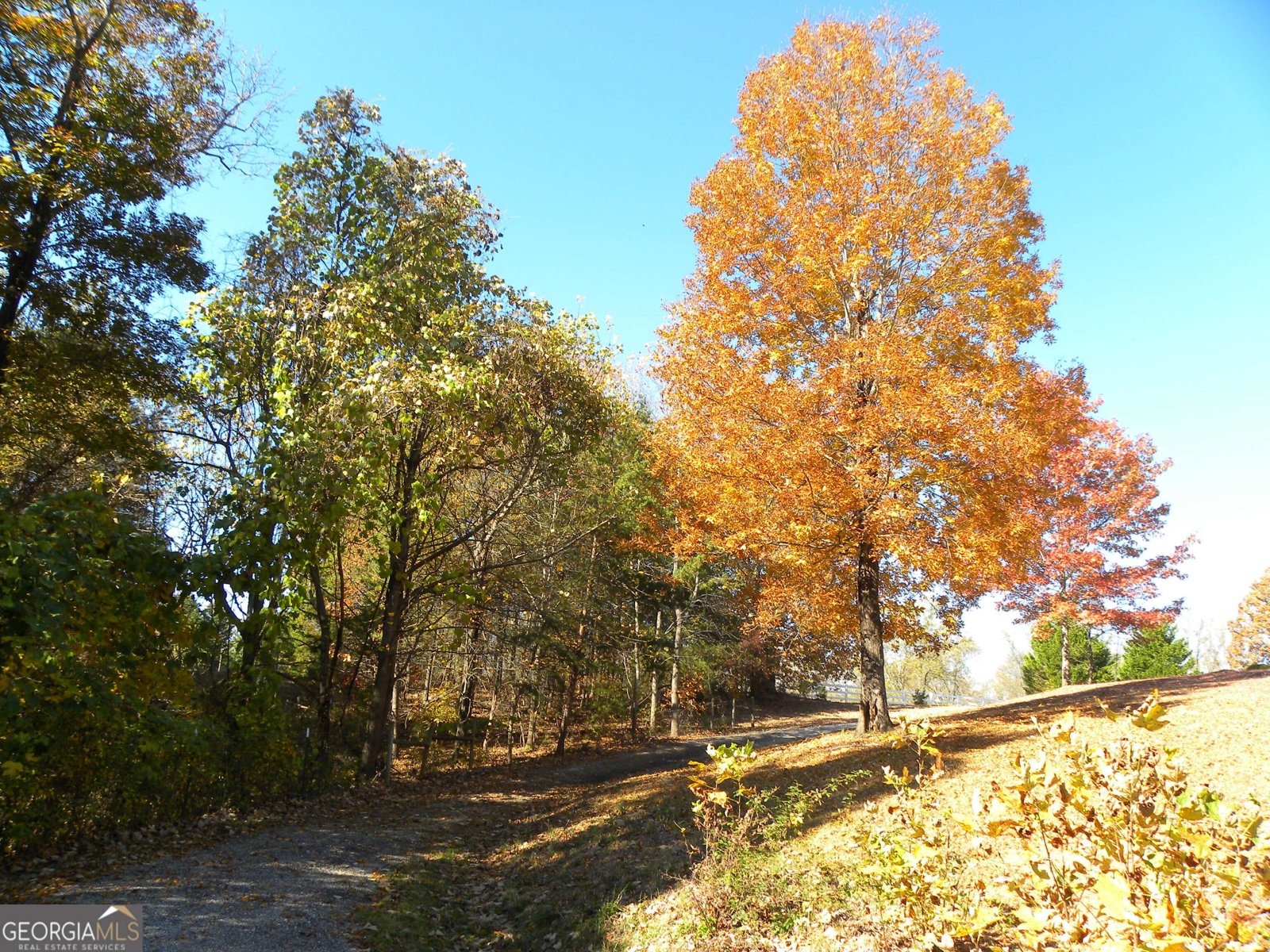 2484 Apple Pie Ridge Road Alto - 50