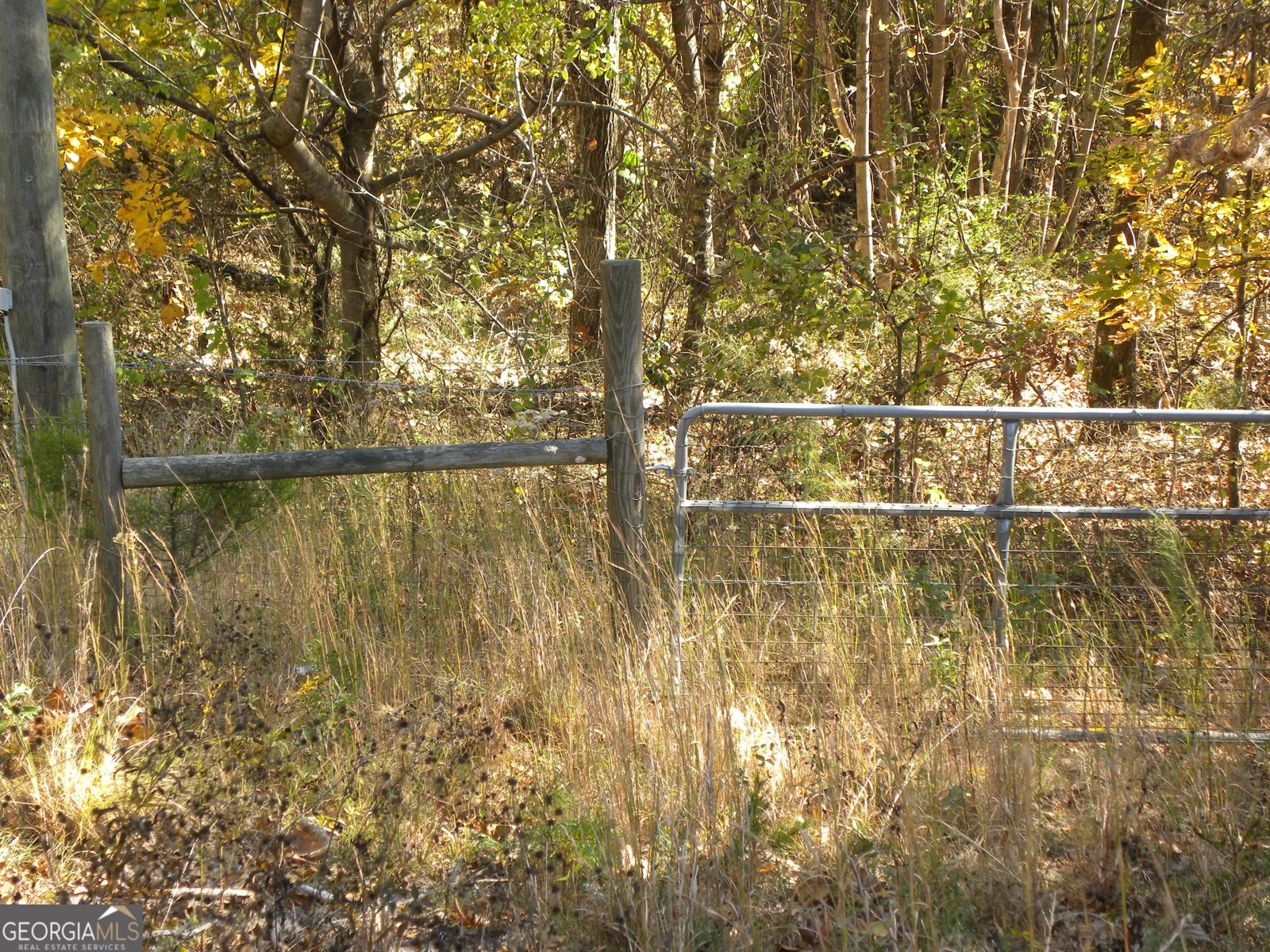 2484 Apple Pie Ridge Road Alto - 53