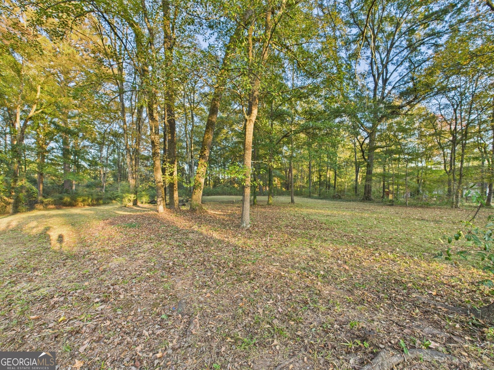 331 Marjane Drive Macon - 37