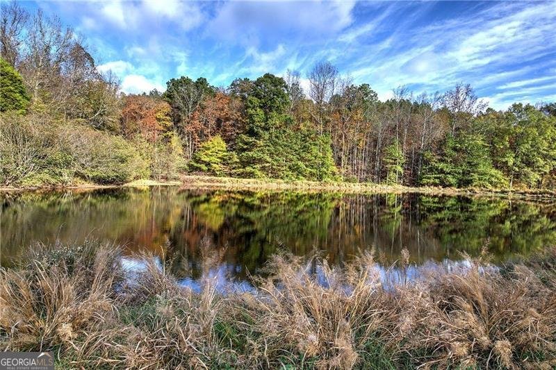 1195 GRADY Road Rockmart - 47