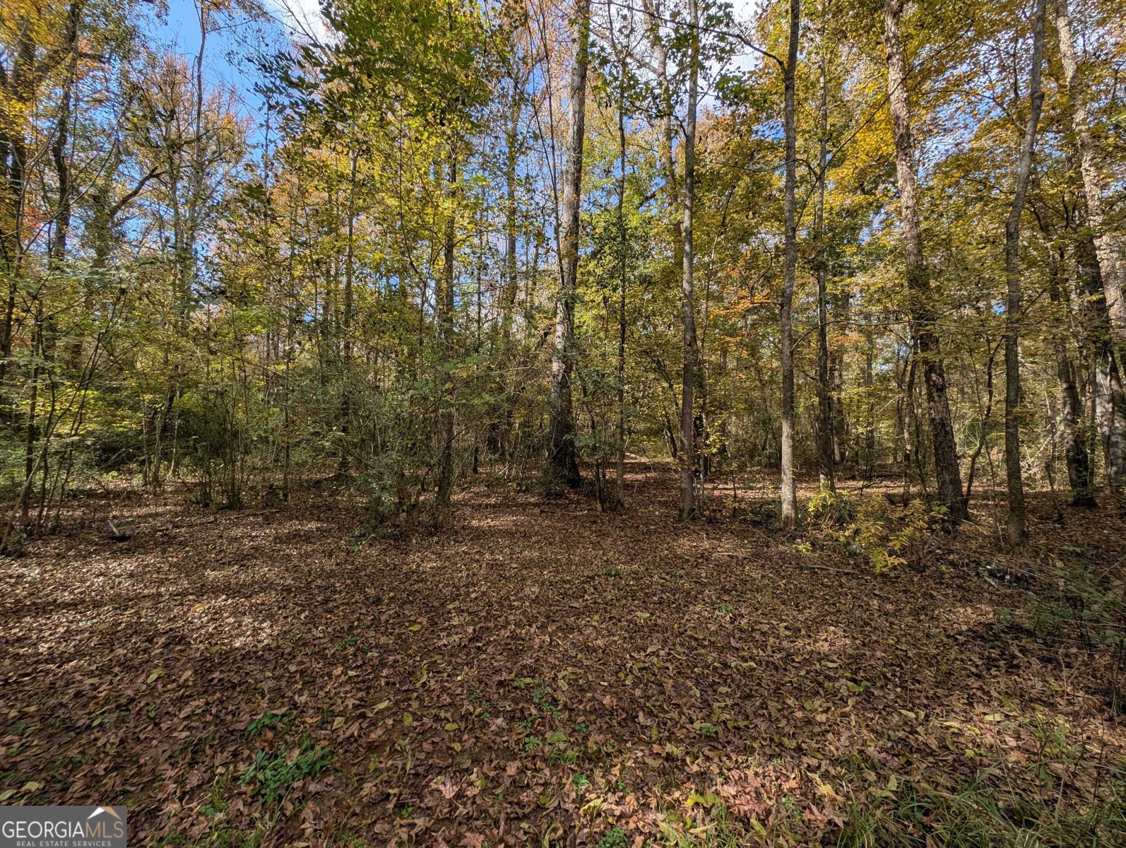 216 Deerwood Circle Griffin - 2