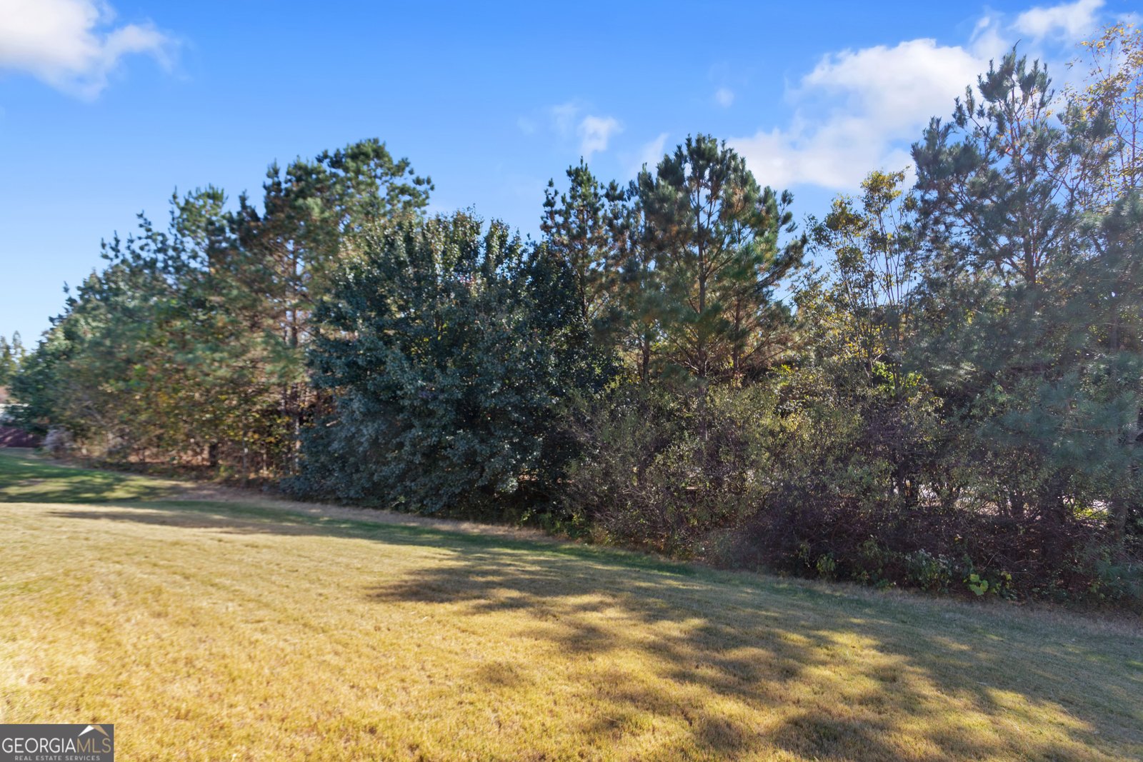 1332 Wild Rose Drive Conyers - 25