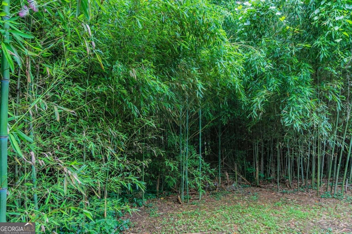 4634 Garden Hills Drive Stone Mountain - 9