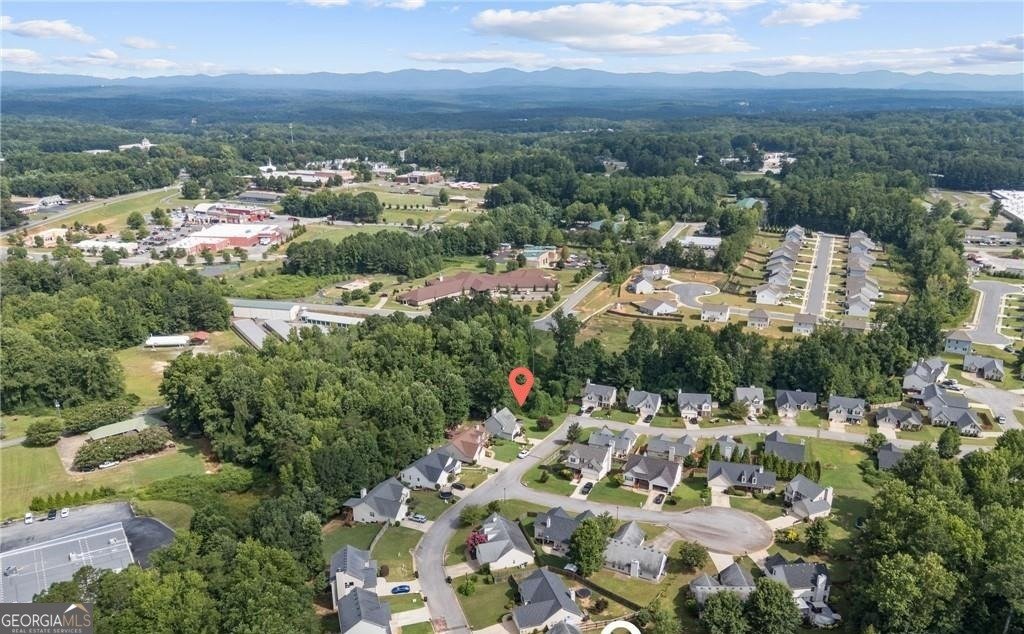 10 Sandberg Way Dawsonville - 4