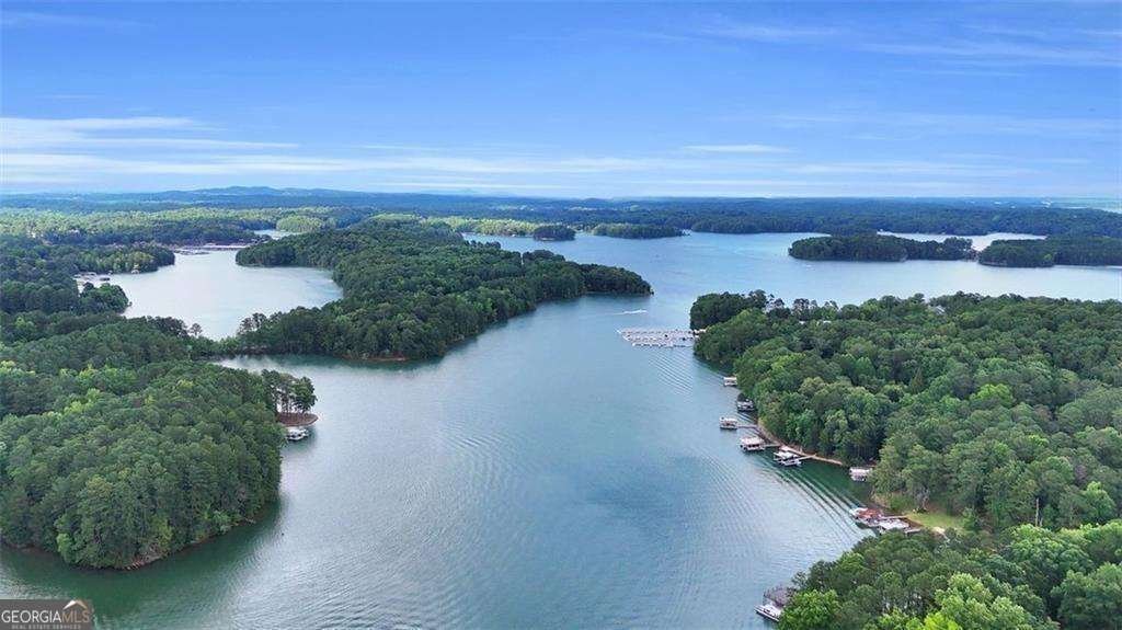 2340 Manor Pointe Drive Cumming - 20