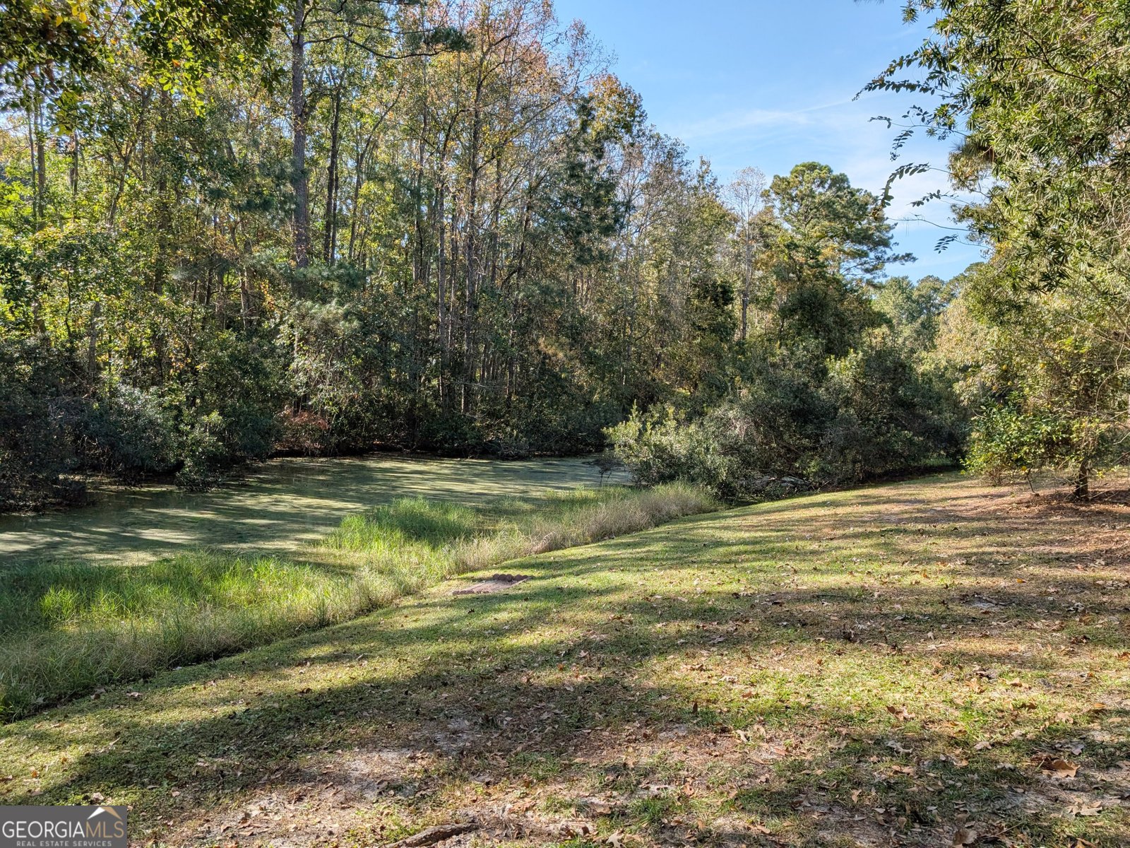 243 McLaughlin Court Richmond Hill - 3