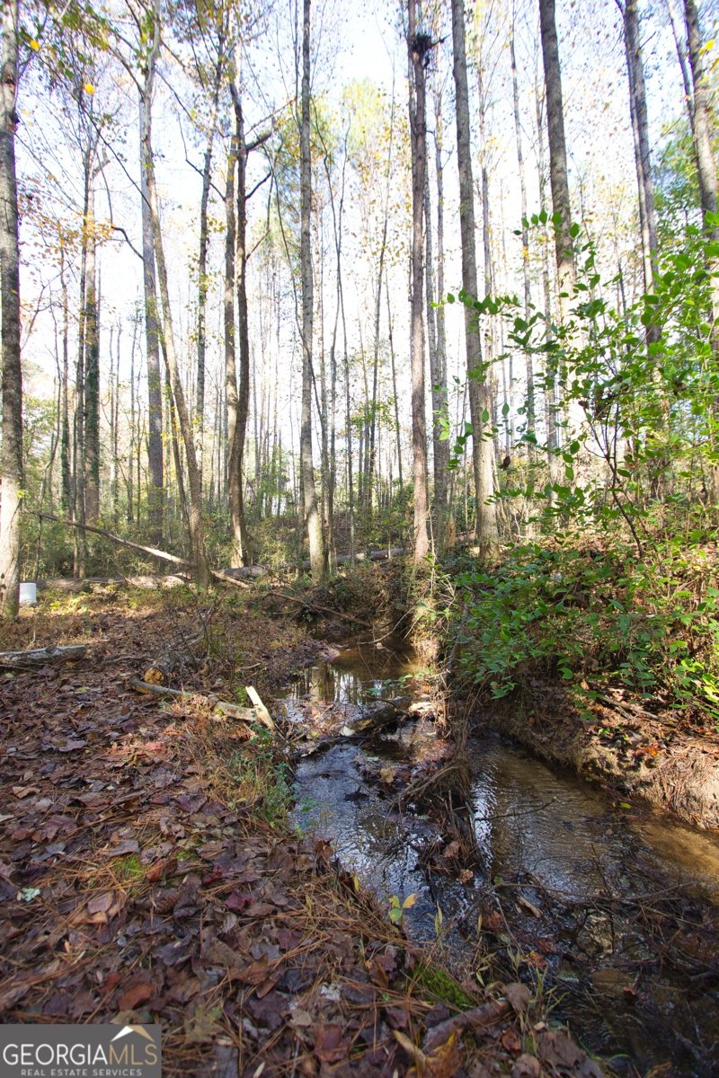 4685 Barnes Court Loganville - 26