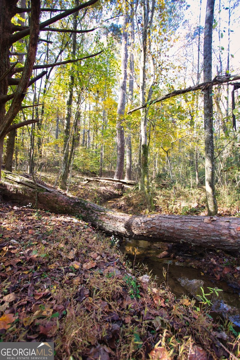 4685 Barnes Court Loganville - 37