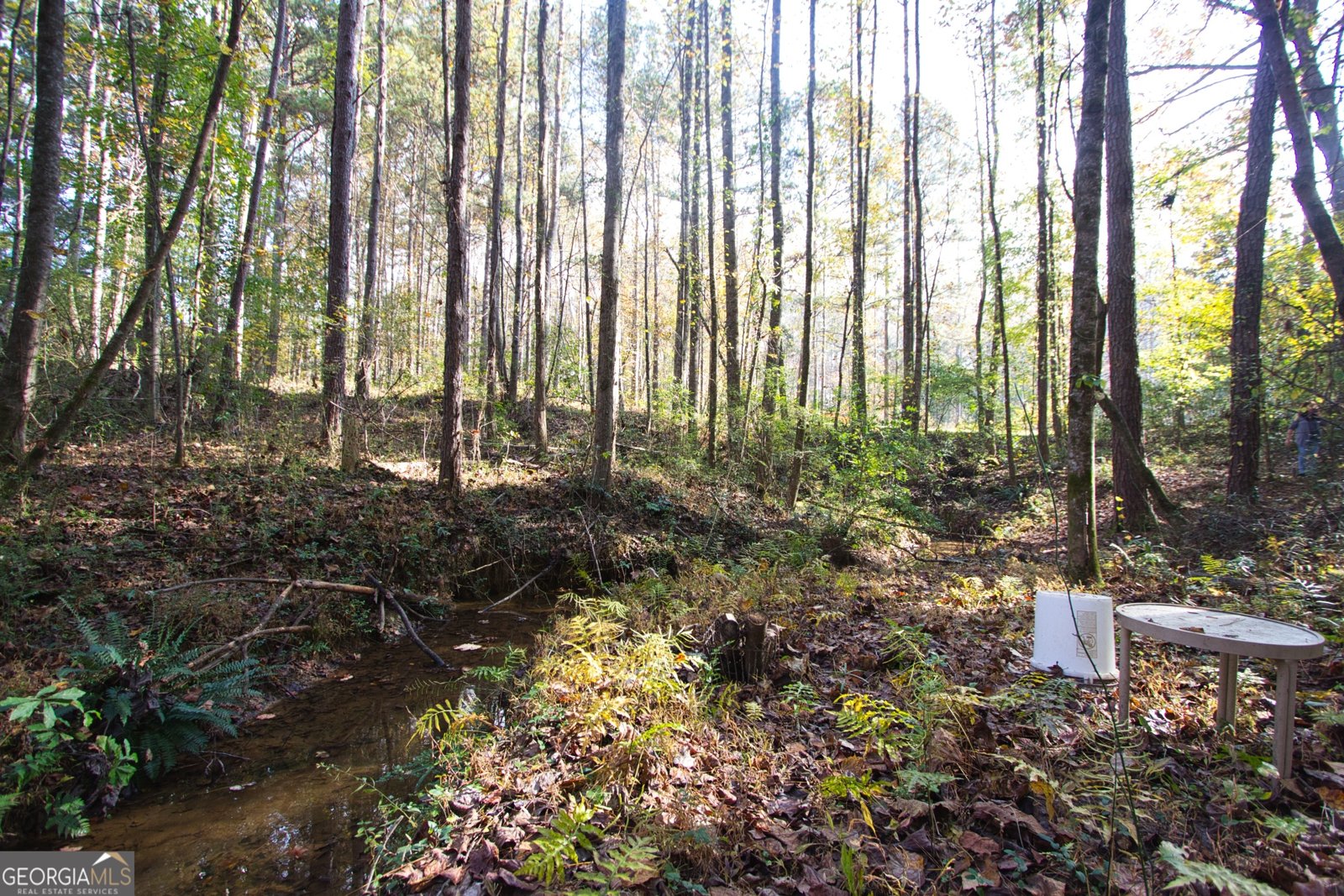 4685 Barnes Court Loganville - 40