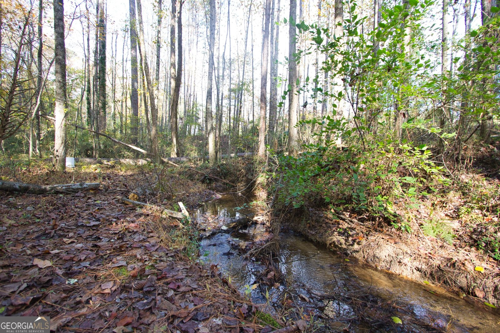 4685 Barnes Court Loganville - 41