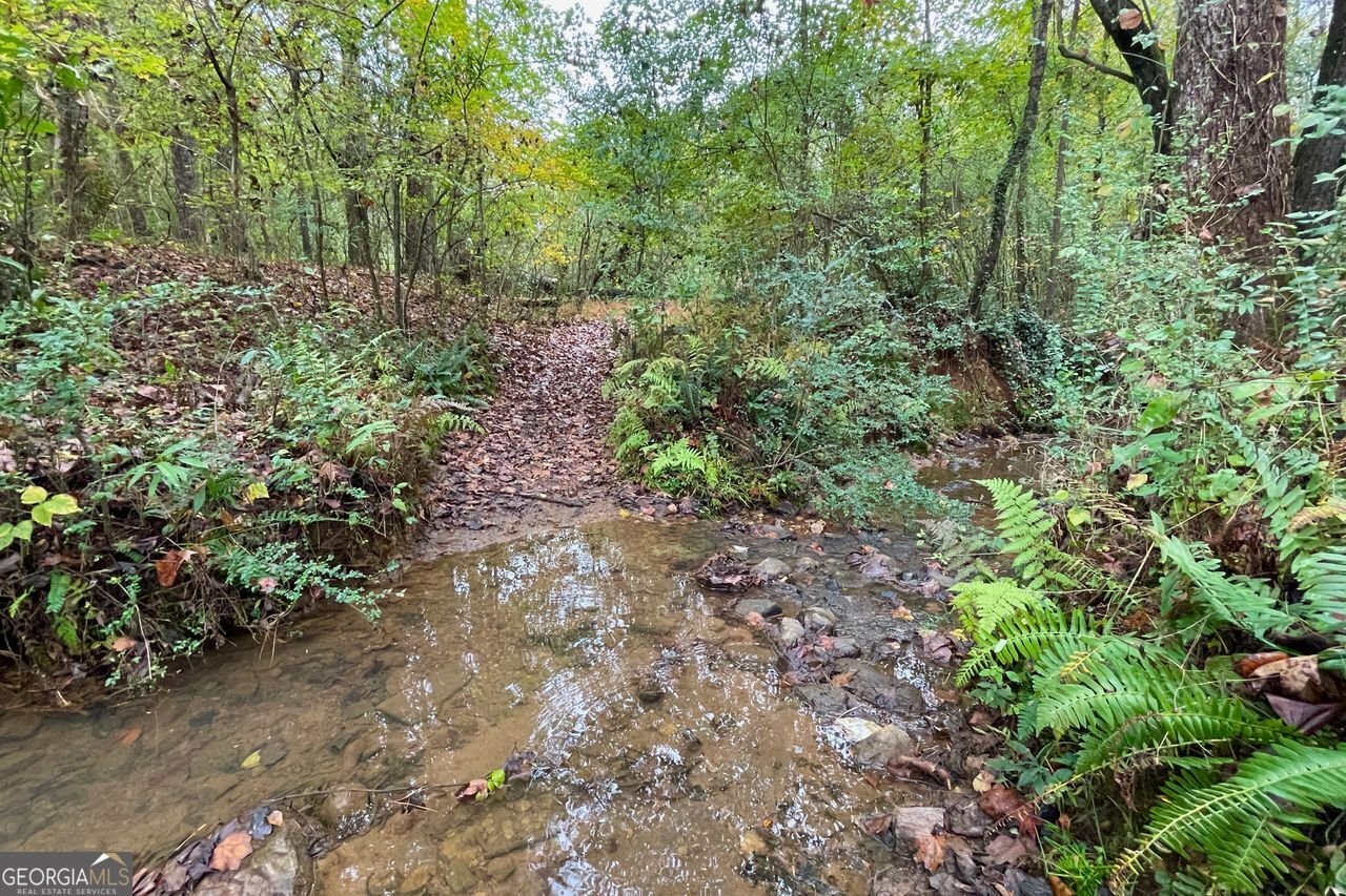 144 WILEY Drive Douglasville - 26