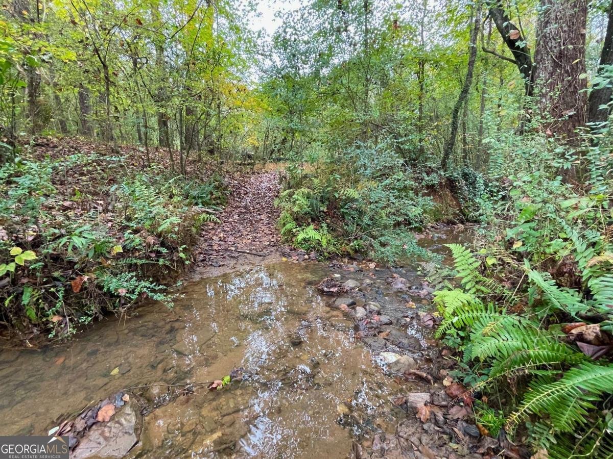 144 WILEY Drive Douglasville - 4