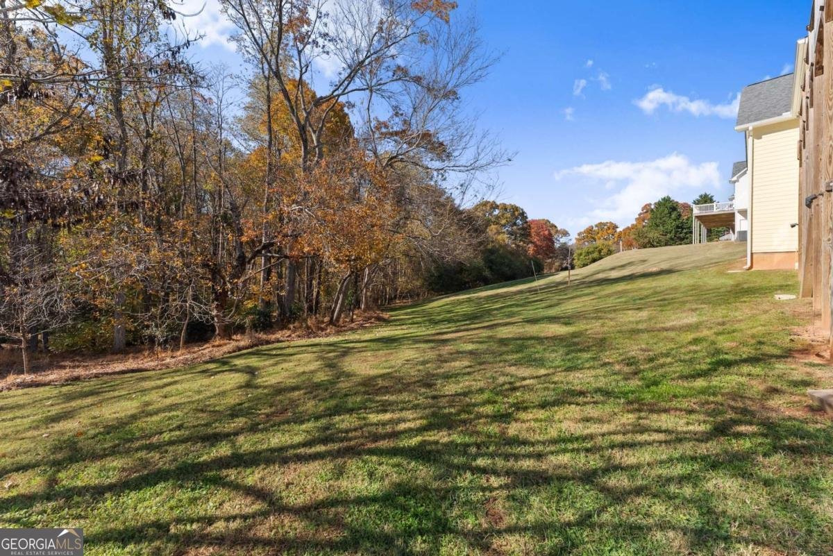 65 Golden Autumn Drive Dahlonega - 12