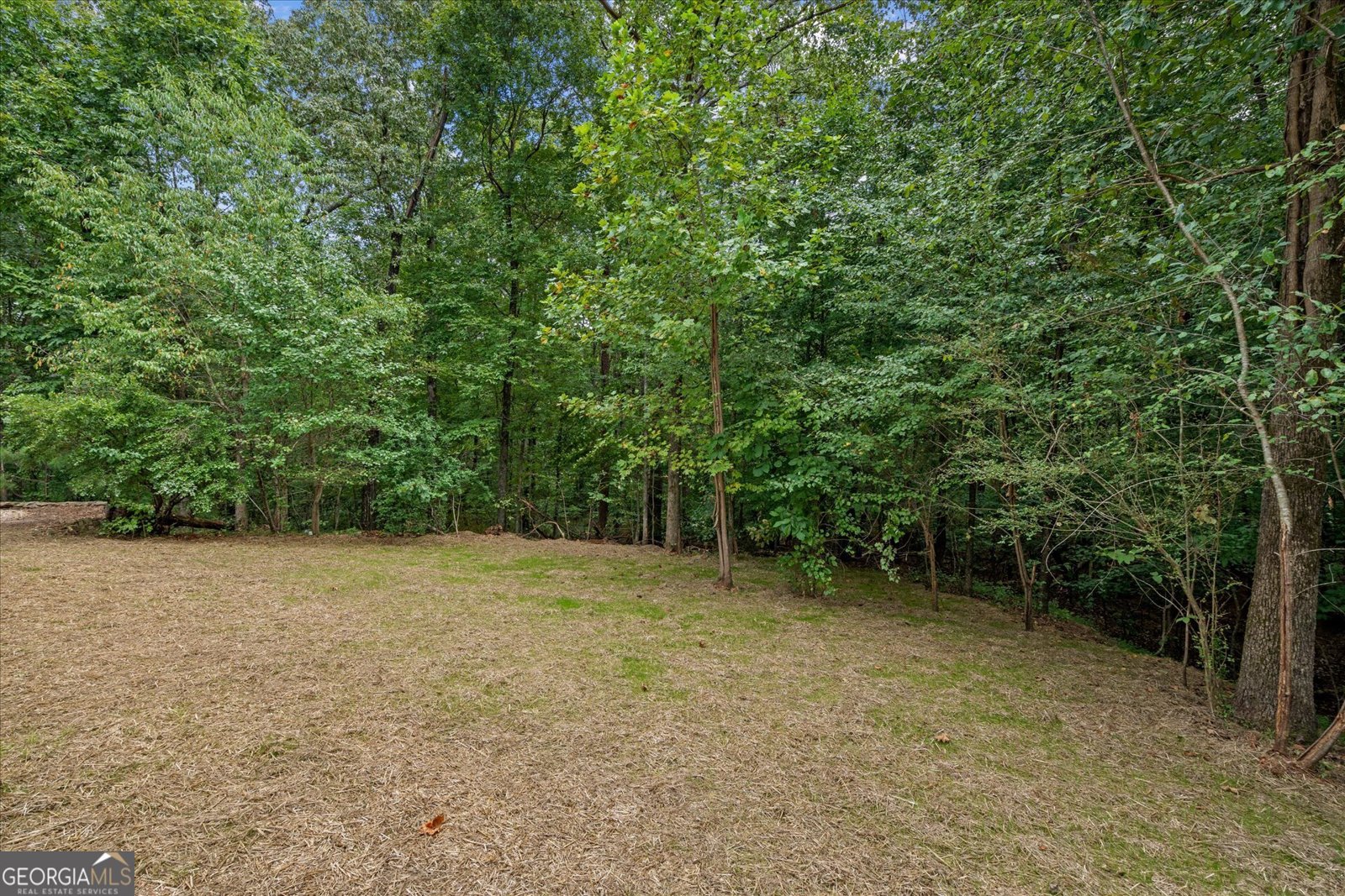 9427 Poole Road Villa Rica - 15