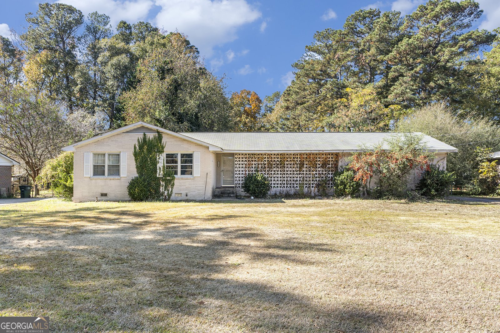 1209 Ethridge Mill Road Griffin - 2