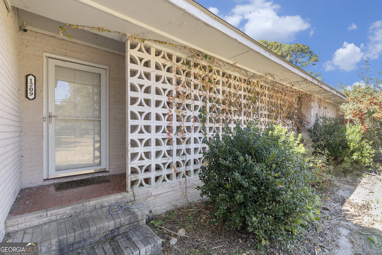 1209 Ethridge Mill Road Griffin - 6