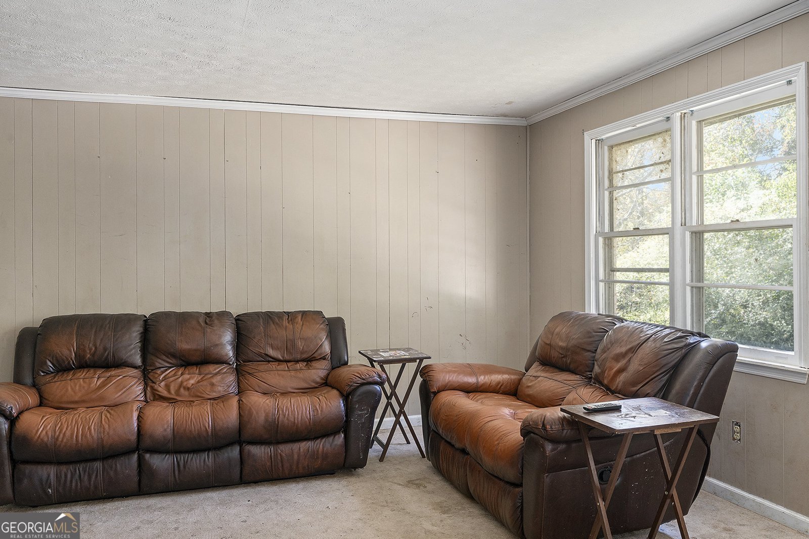 1209 Ethridge Mill Road Griffin - 9