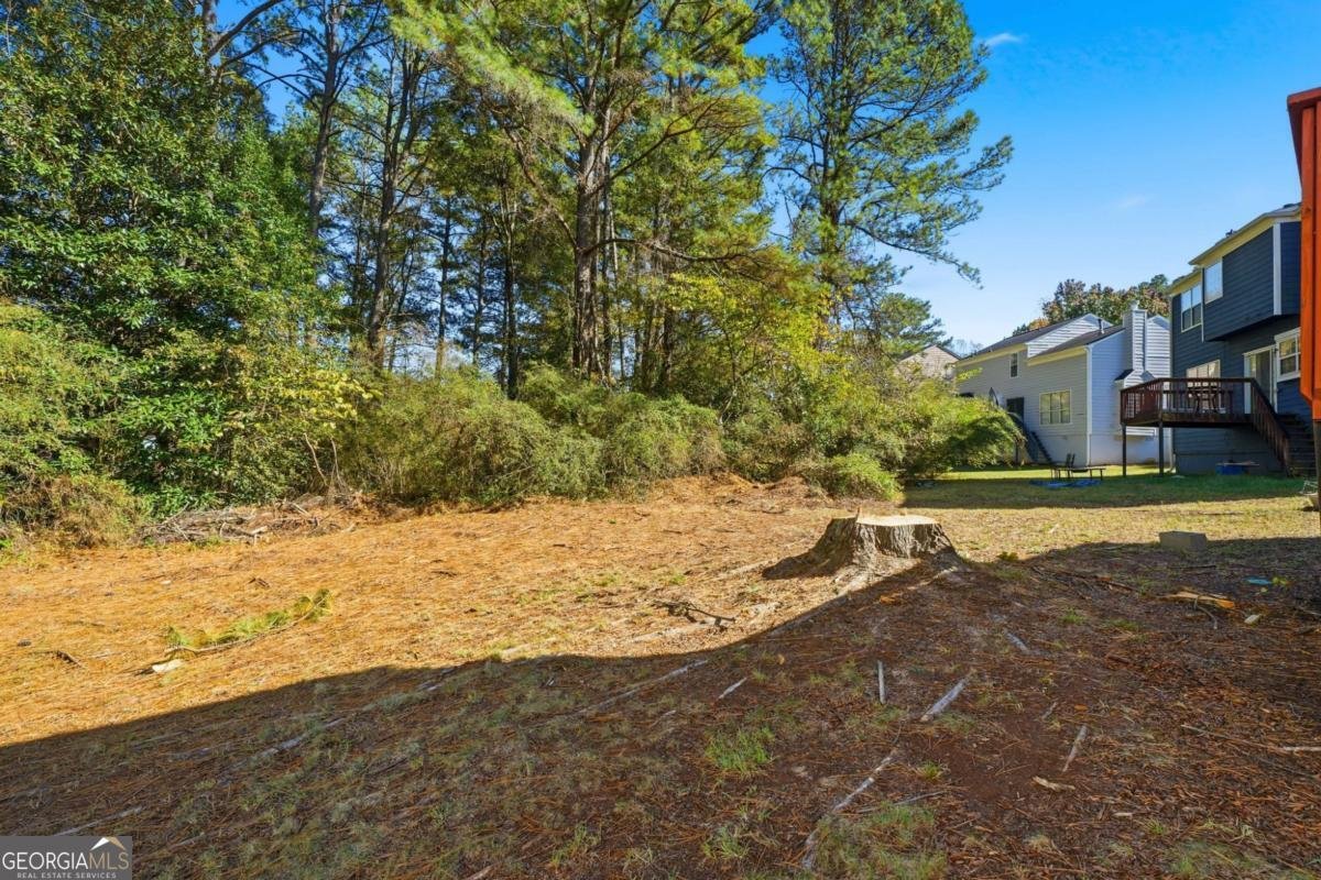 672 Stonebridge Loop Lithonia - 2